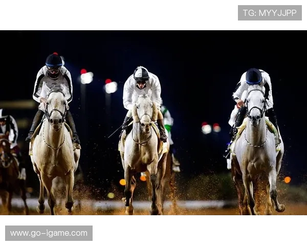 全球顶级体育赛事大集结：激动人心的比赛与精彩时刻一网打尽