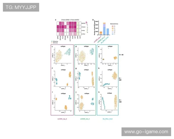 上海足球队团队协作表现的数据分析与提升策略探讨