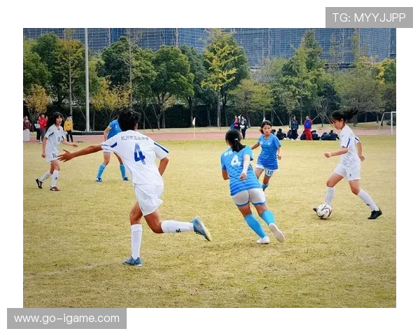 杭州足球队个人能力深度对比分析及影响因素探讨